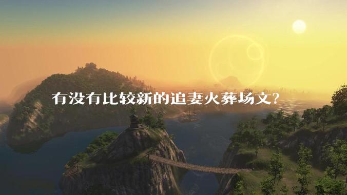有没有比较新的追妻火葬场文？