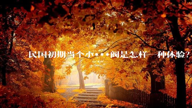 民国初期当个小***阀是怎样一种体验？
