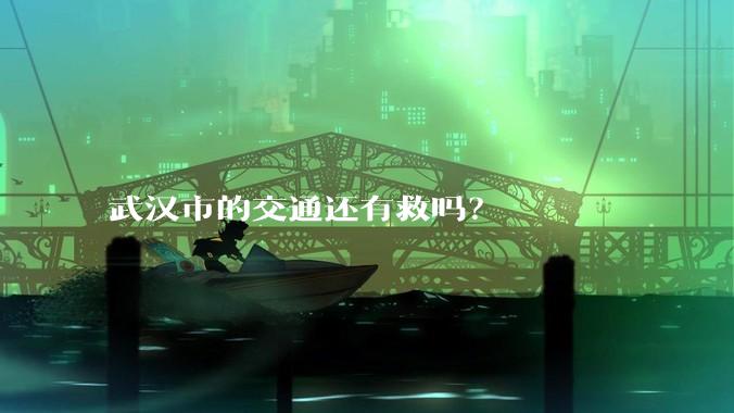 武汉市的交通还有救吗？